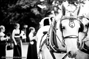 wedding221