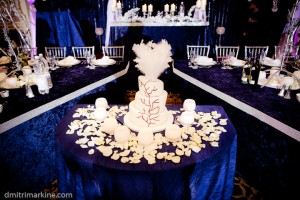 wedding494