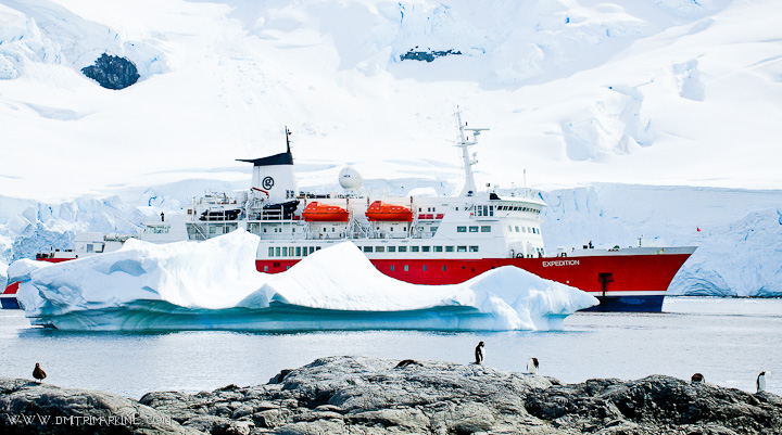 antarctica-expedition wedding