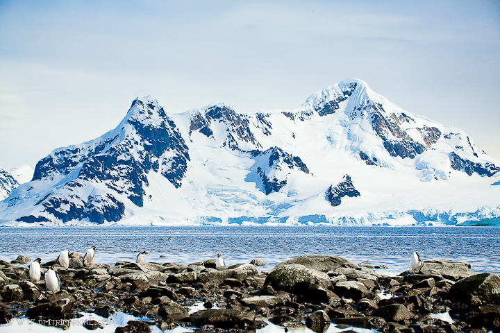 antarctica-scenery antarctica-scenery