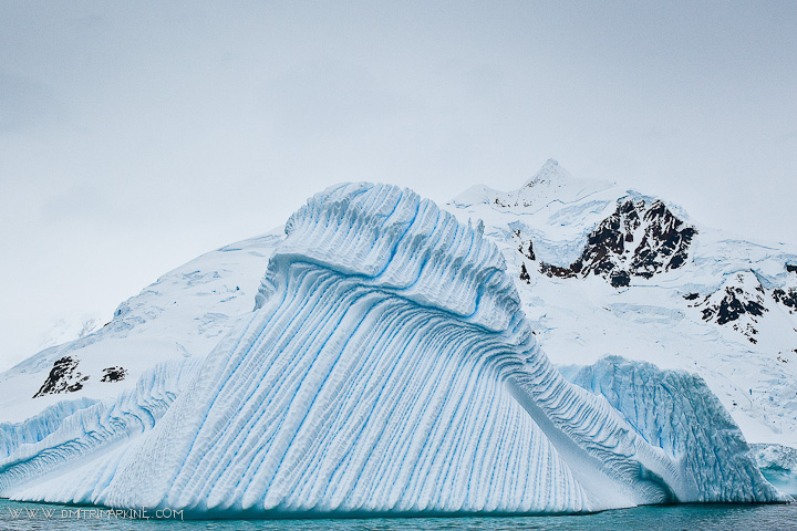 blue-icebergs