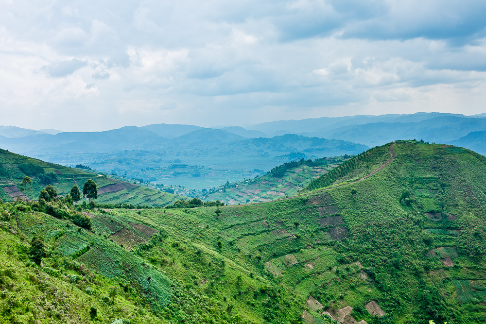 landscape picture africa Uganda fields