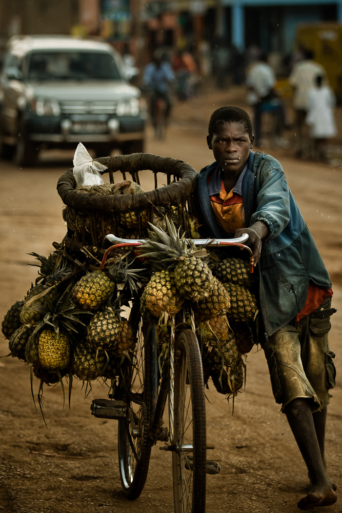 pineapple vendor africa